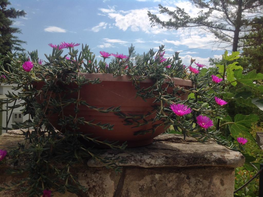 Holiday House Altea Banjole Room photo